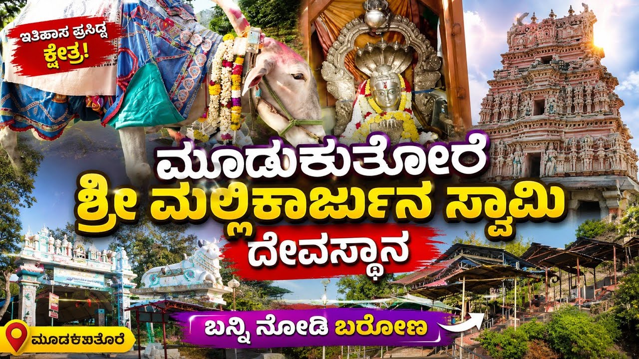🙏ಮಲ್ಲಿಕಾರ್ಜುನ ಸ್ವಾಮಿ ಟೆಂಪಲ್🛕