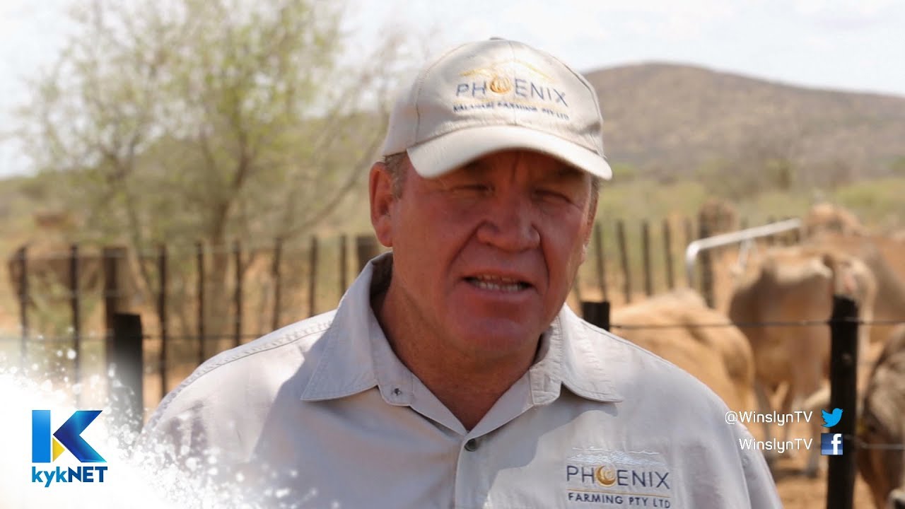 Namibië, Nico Weck en Lenn de Jager gesels oor boerdery & landbou – WINSLYN | 15 Jan 2019 | kykNET