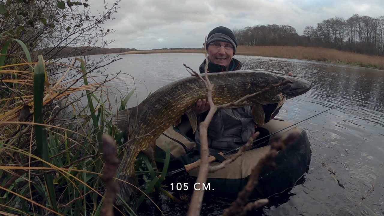 Tange sø.  Ny PR gedde