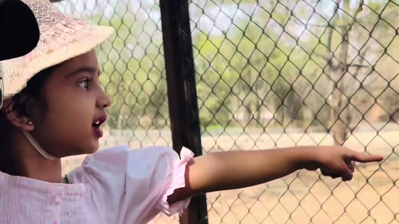 Pune's Biggest Zoo Tour ! Rajiv Gandhi Zoological Park ! 