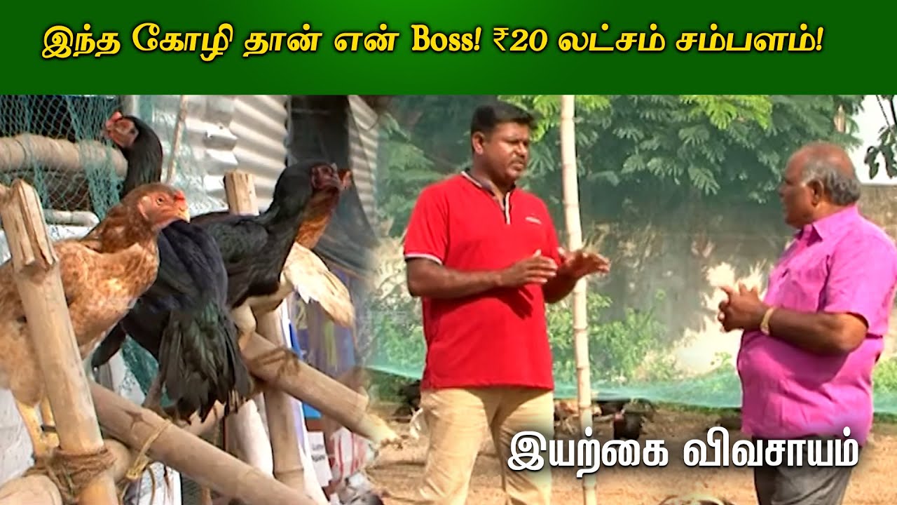 இந்த கோழி தான் என் Boss! ₹20 லட்சம் சம்பளம்! | Organic Vivasayi