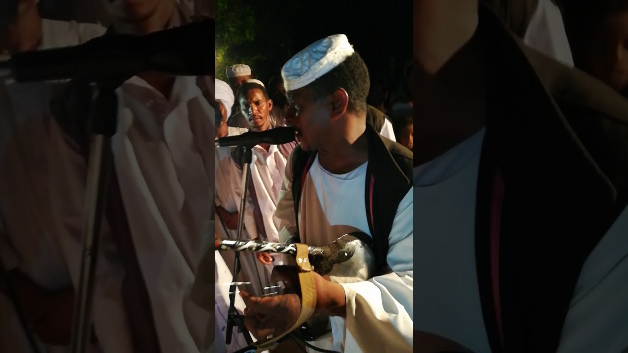 ود دار الزين