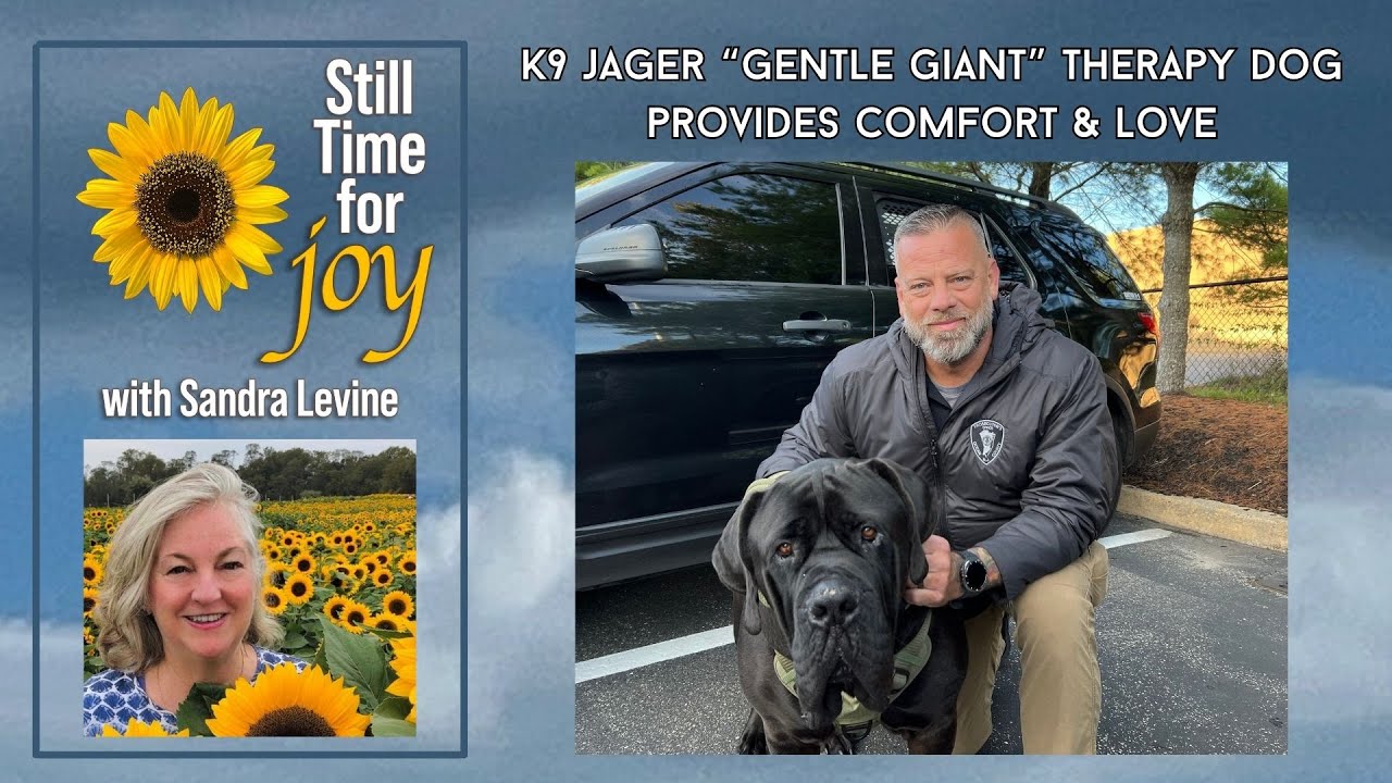 K9 Jager, Gentle Giant Therapy Dog, Provides Comfort During Crises through Prosecutor’s Office in NJ