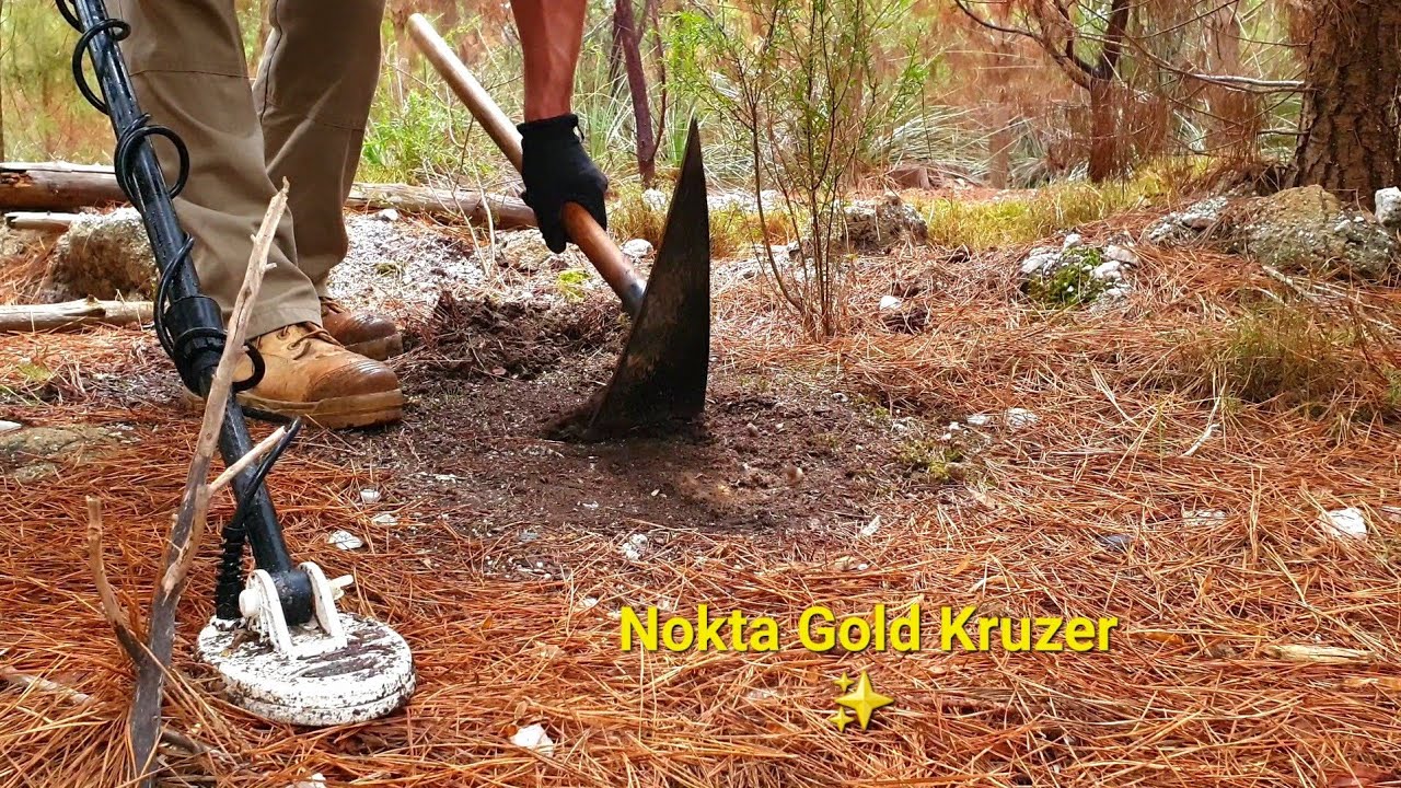 Nokta Gold Kruzer ⛏️        Mt Crawford Forest.       South Australia.