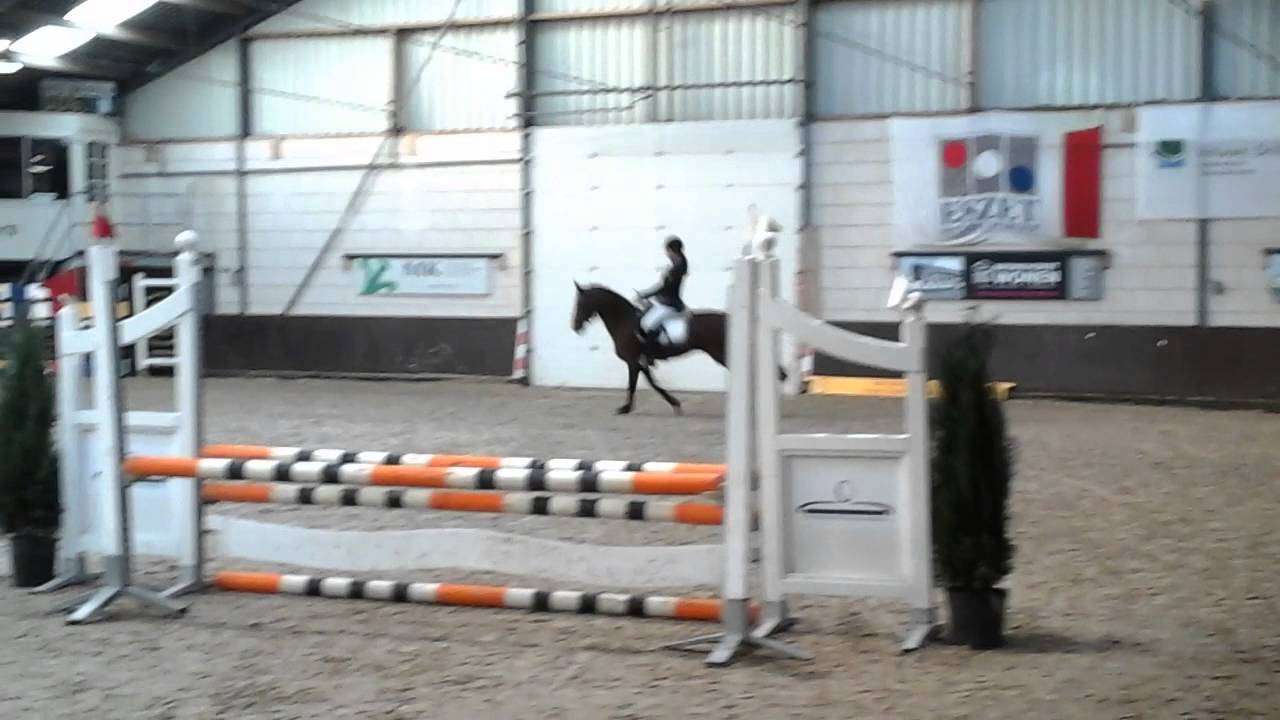 Miss Potter in Hierden springparcours (sel)