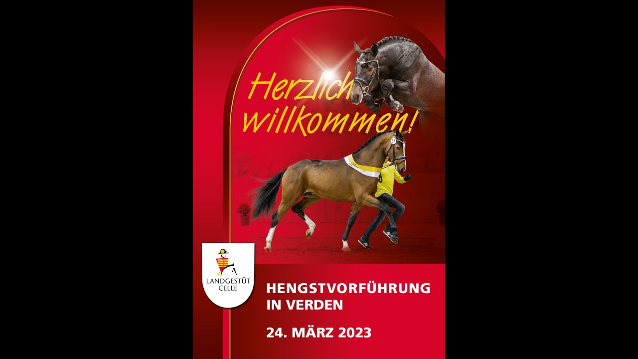 Hengstvorführung Verden 2023