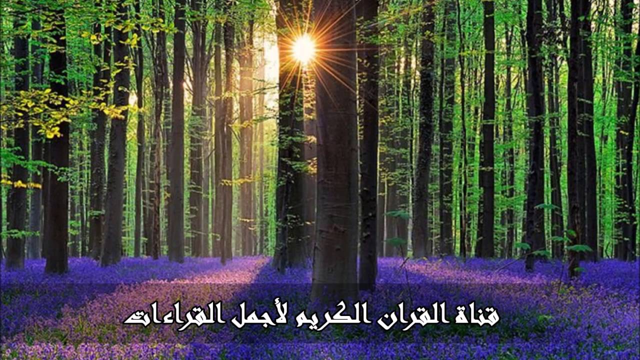 سورة مريم تلاوة رائعه الشيخ عبدالله الموسى رابط التحميل في الوصف