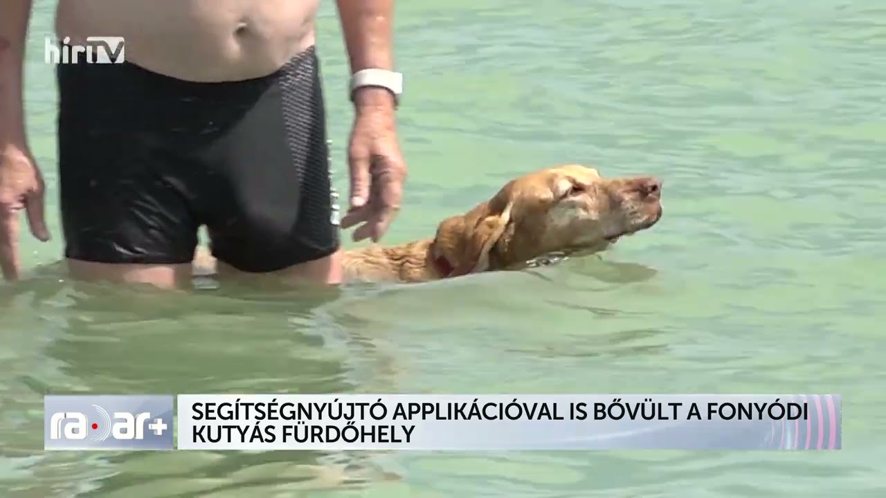 Segítségnyújtó applikációval is bővült a fonyódi kutyás fürdőhely - HÍR TV+