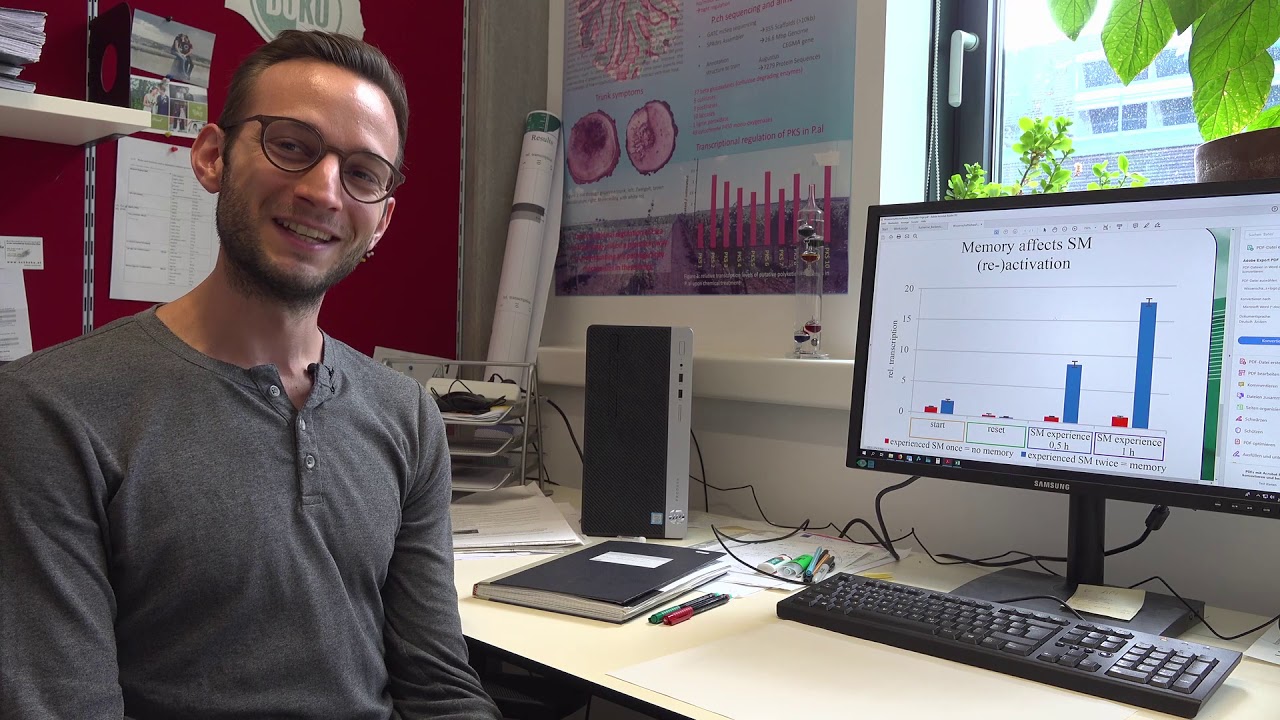 PiNet - Das Internet der Pilze, 2. Teil