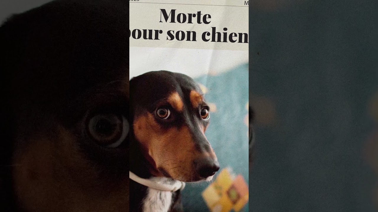 Mort pour sauver