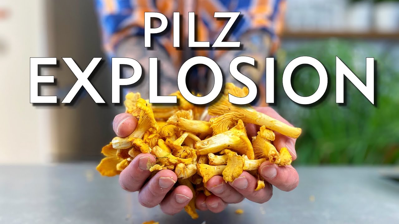 3 super schnelle Rezepte mit Pfifferlingen