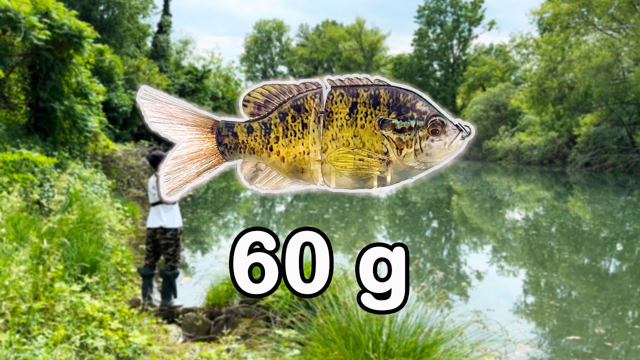 Lucci Impazziti per la Glide Bait 60 g  Catture da Brivido