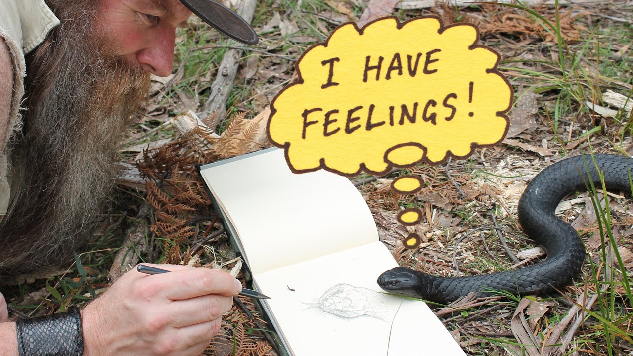 What do snakes think & feel?