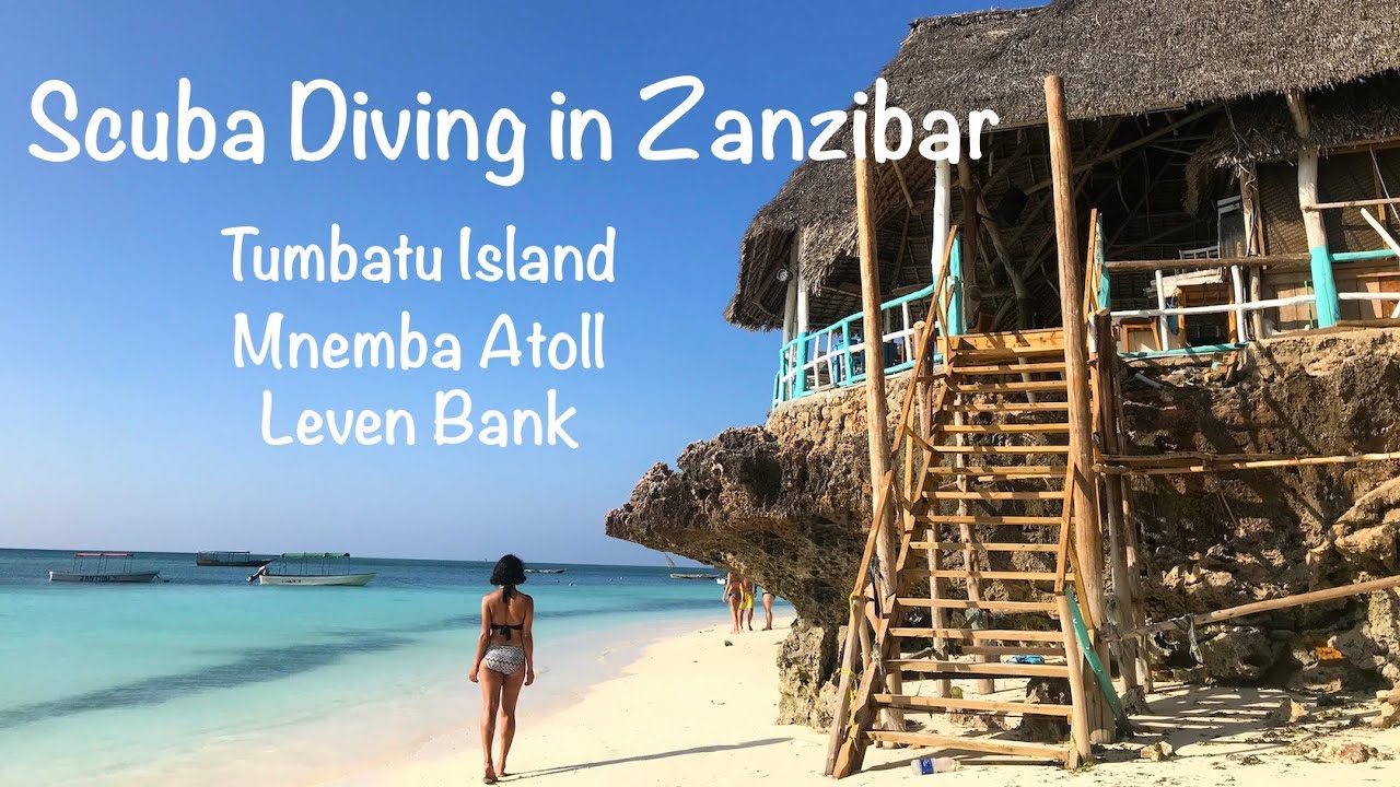 Scuba Diving in Zanzibar, Tanzania - Tumbatu Island, Mnemba Atoll, Leven Bank
