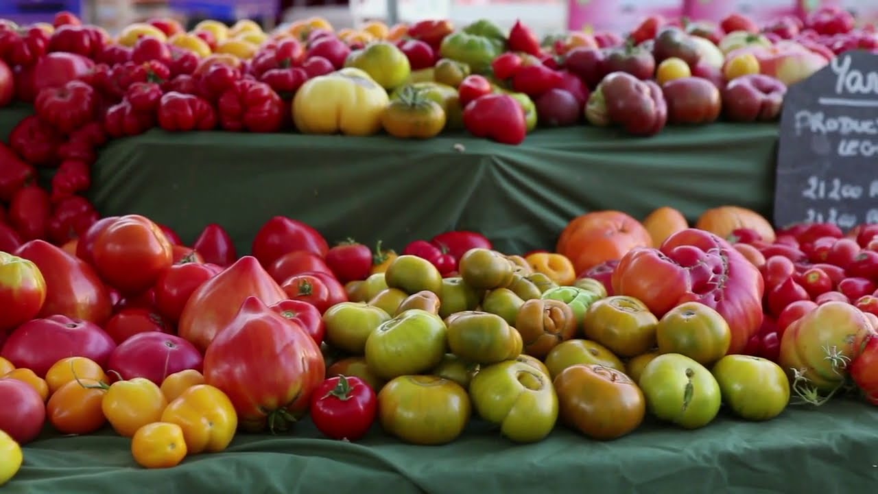 faire ses graines de tomate