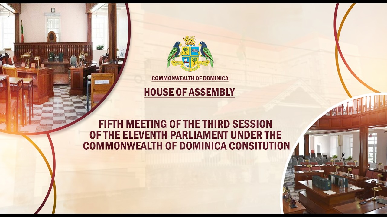 Parliament at the House of Assembly (Video)