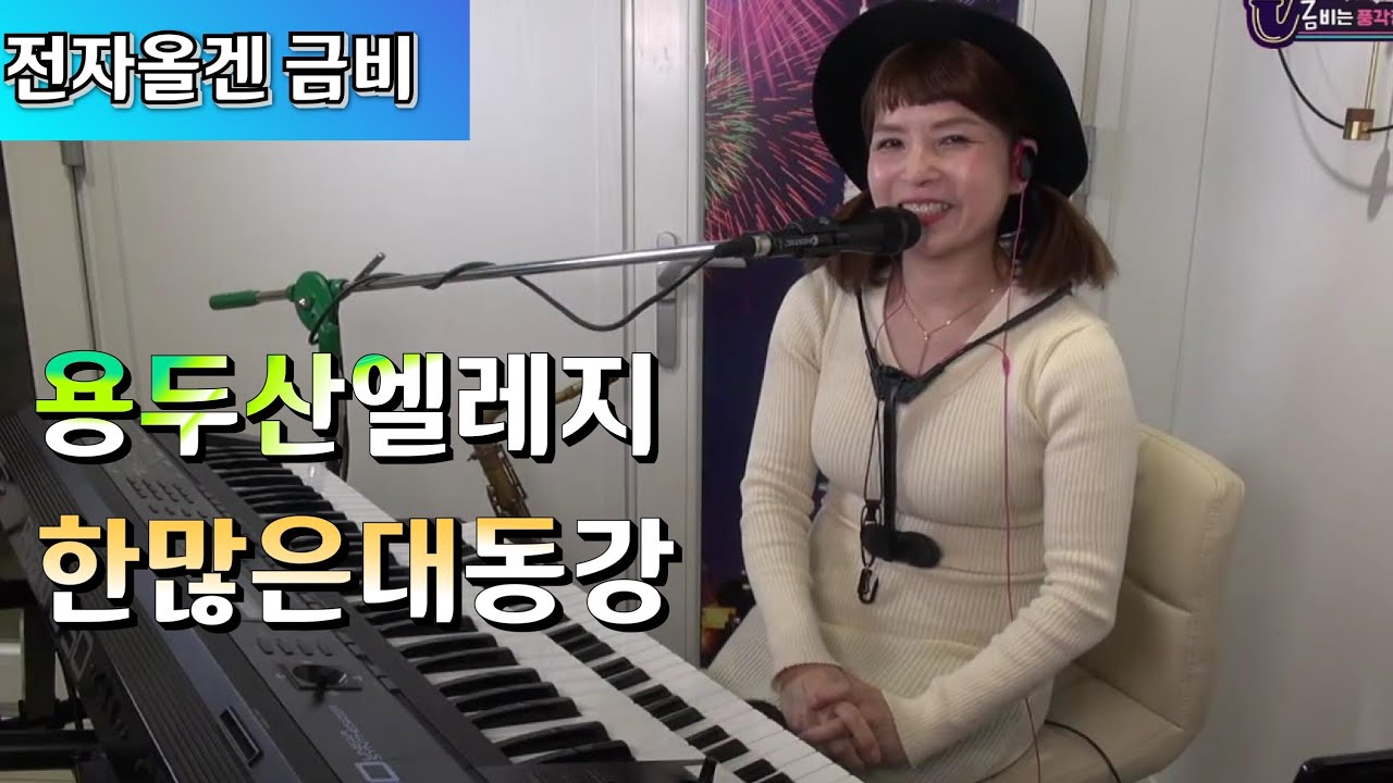 용두산엘레지 한많은대동강 전자올겐 연주