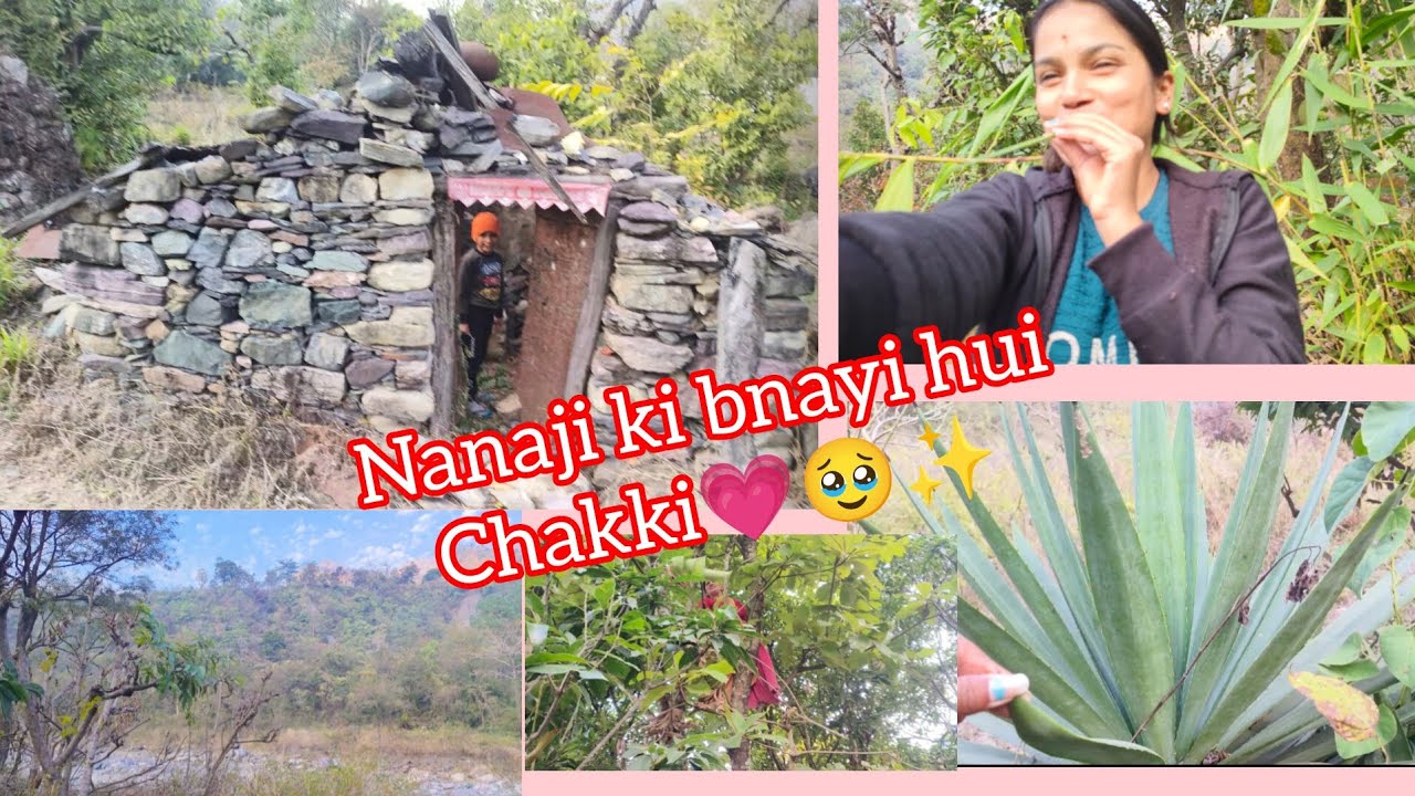 Purani yaade taza😍💗 #youtubeshortsvideos #viralvideoシ #shortsviralvideo #nainihal 
