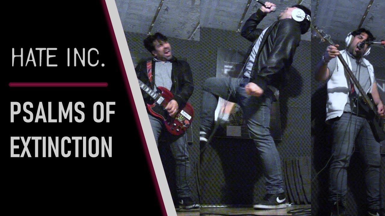 HATE INC. - PSALMS OF EXTINCTION (PAIN)