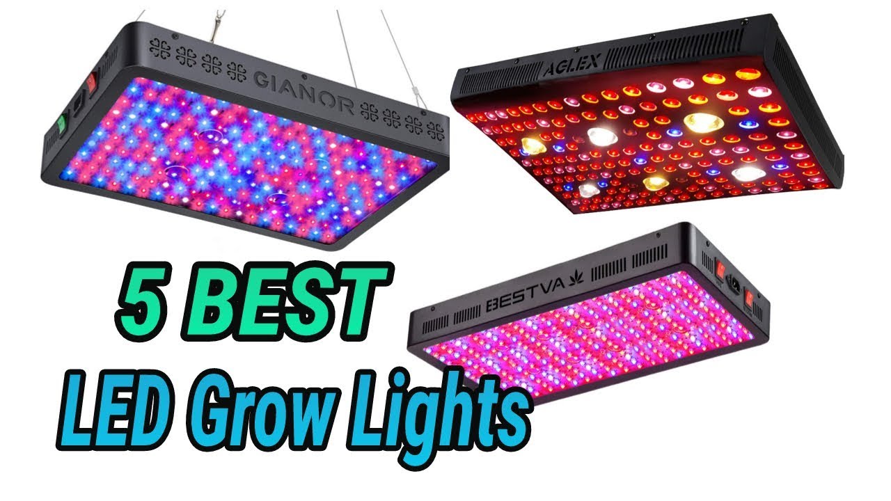 5 Best LED Grow Light 2020