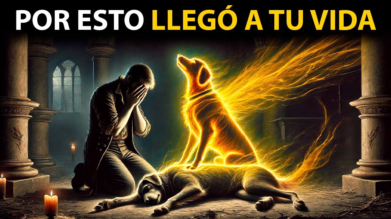 El Significado Espiritual de Tu Perro en Tu Vida
