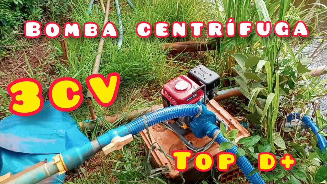Irrigação por gotejamento.Bomba Branco 3cv atendendo super bem!