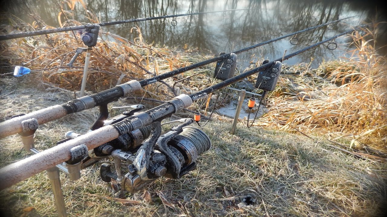Karpervissen - Winter vissen op karper - Kanaalvissen met twincarpNL