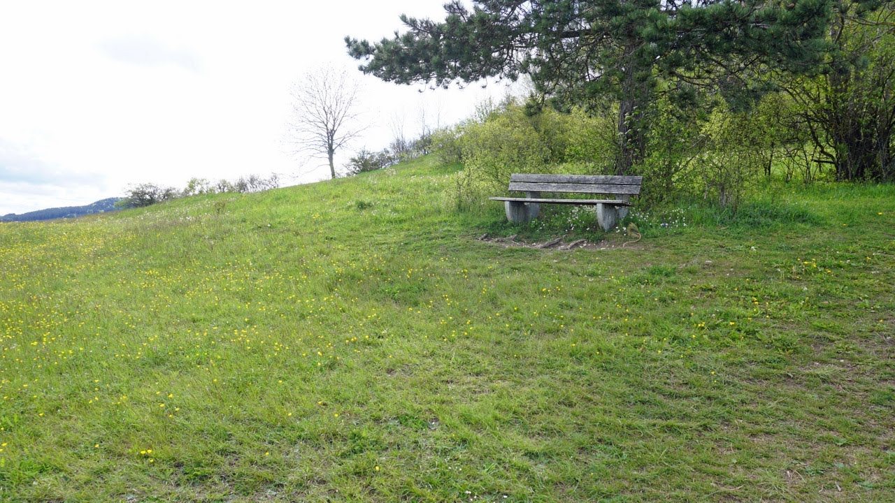 HOHENKARPFEN XXI - Die Bank und Du