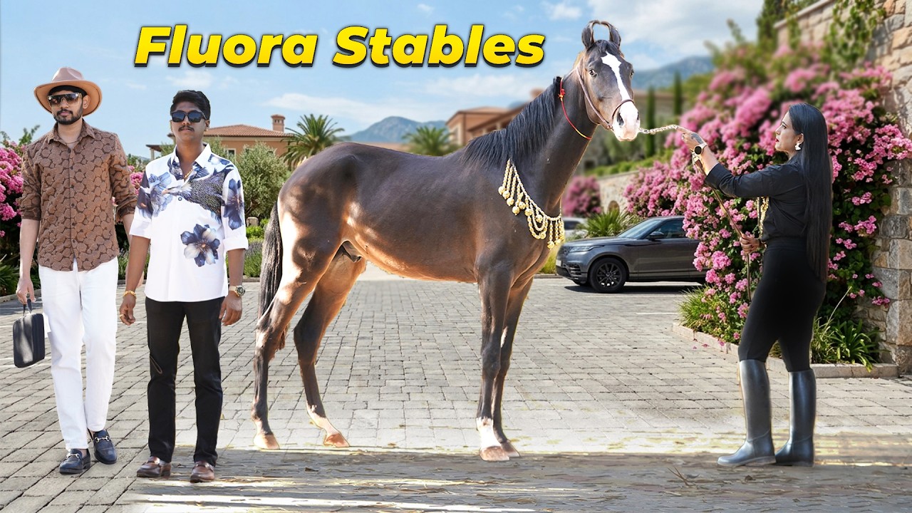От 0 до 15 лошадей 🐎 3 лакха в месяц 💸 От нуля до героя: вдохновляющая история конюшни Fluora | Л...