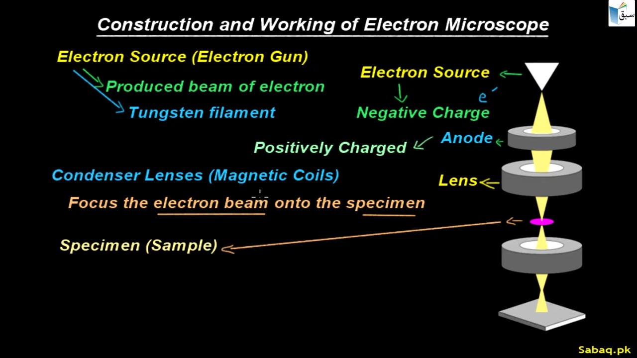 Electron Microscope, Physics Lecture | Sabaq.pk