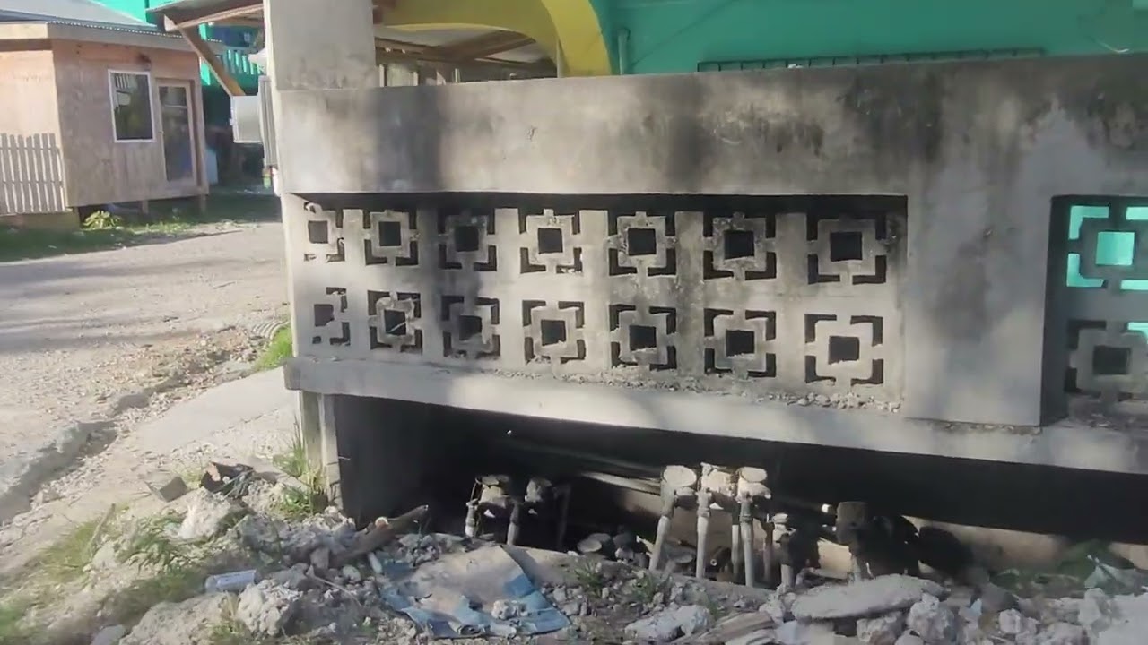 Travel Guide/Homecook Fish #viral #diy #cooking #cookingvideo 