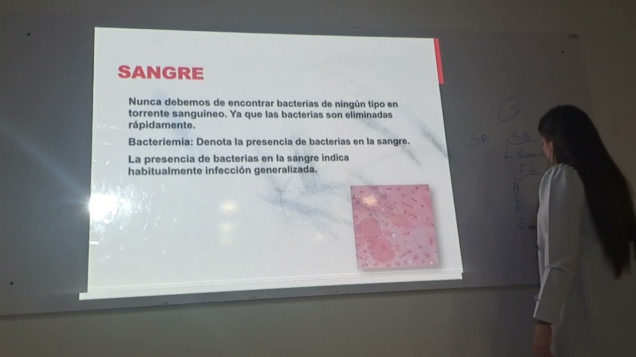 Microbiologia 1 - 20fev