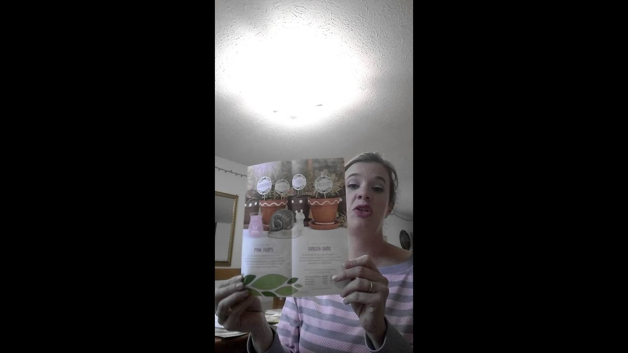 Snail Mail Scentsy newsletter