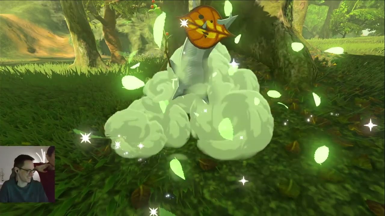 Walking around, through Hyrule, looking to start stuff with Lynels   O.o