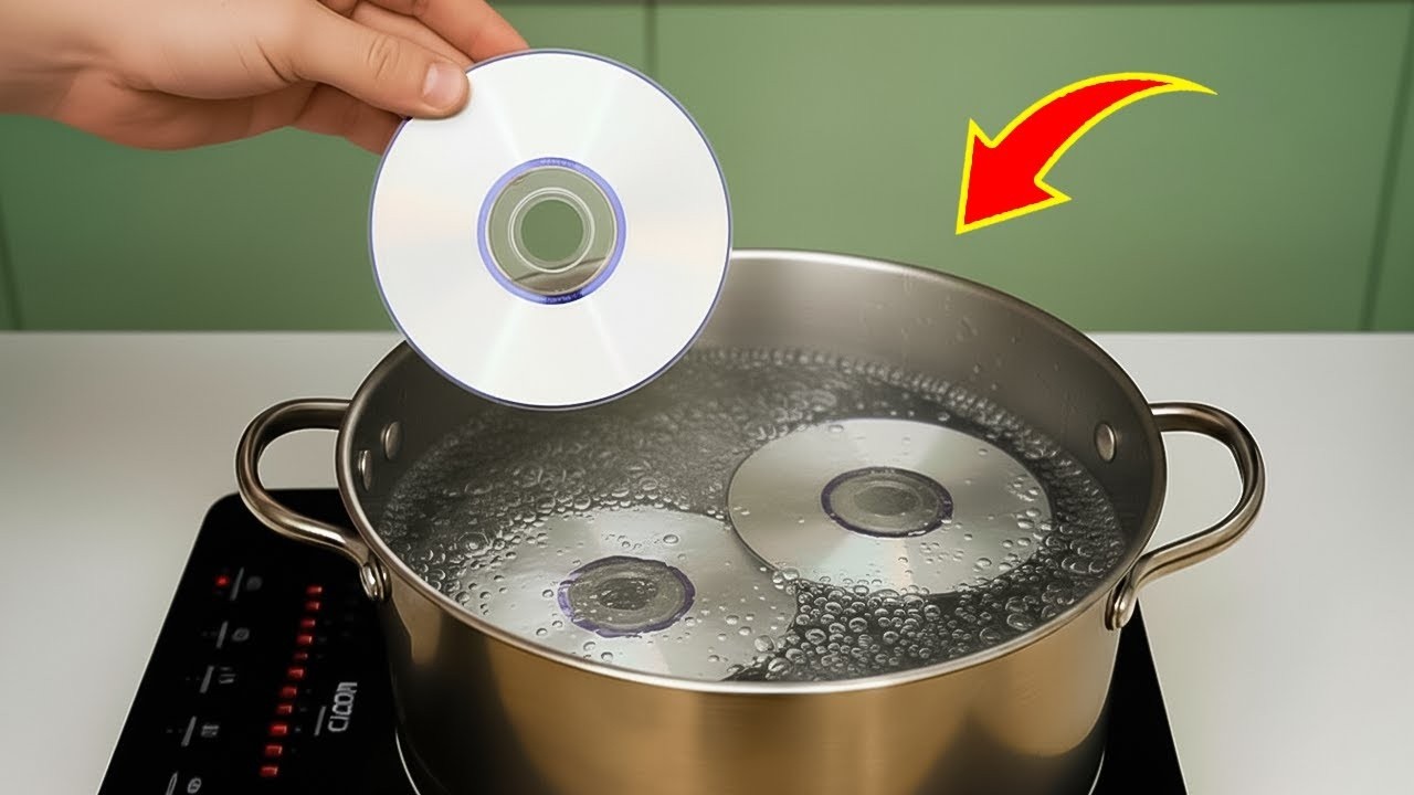 Кипятите компакт-диски и зарабатывайте деньги😱! Миллионы людей не знают этого секрета! | умное созд