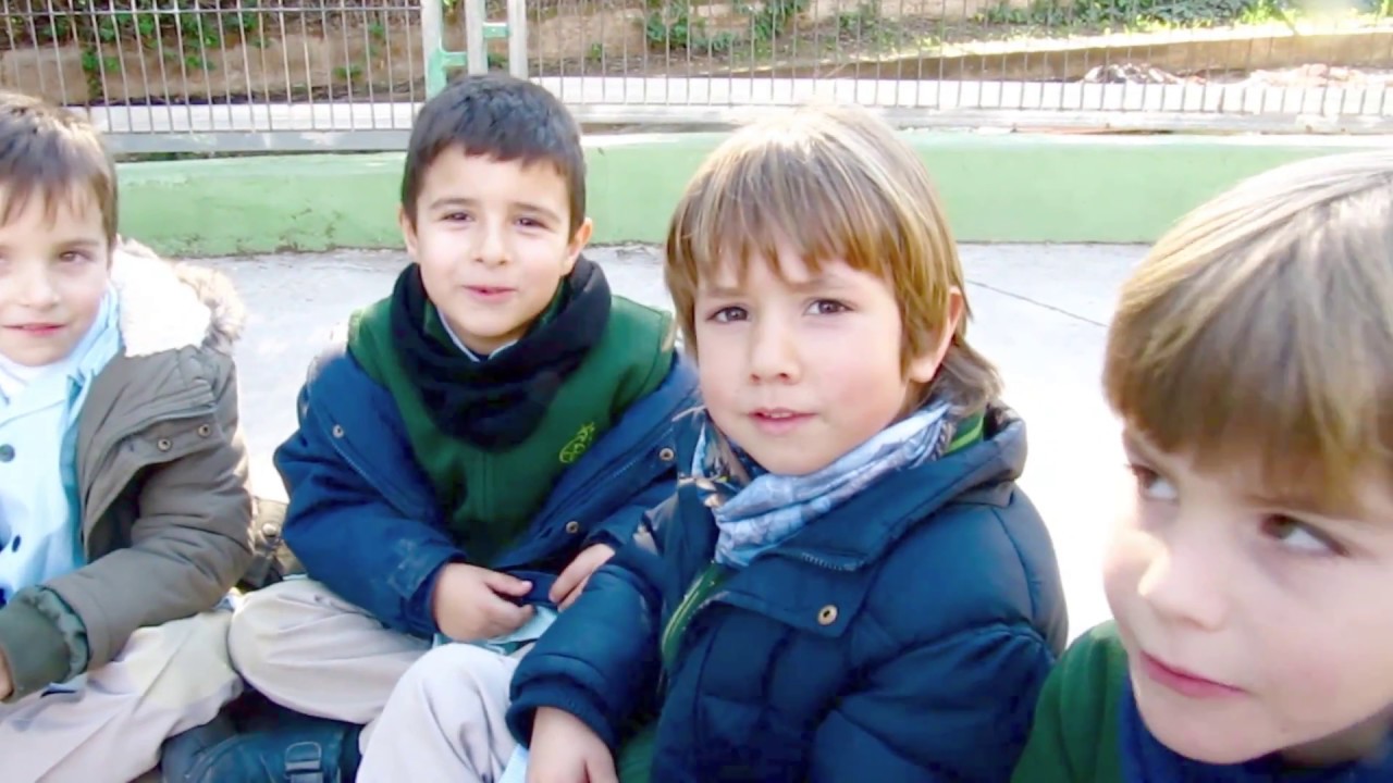 V JORNADAS DE PUERTAS ABIERTAS 2017 SVF-FESD (JJPPAA17)