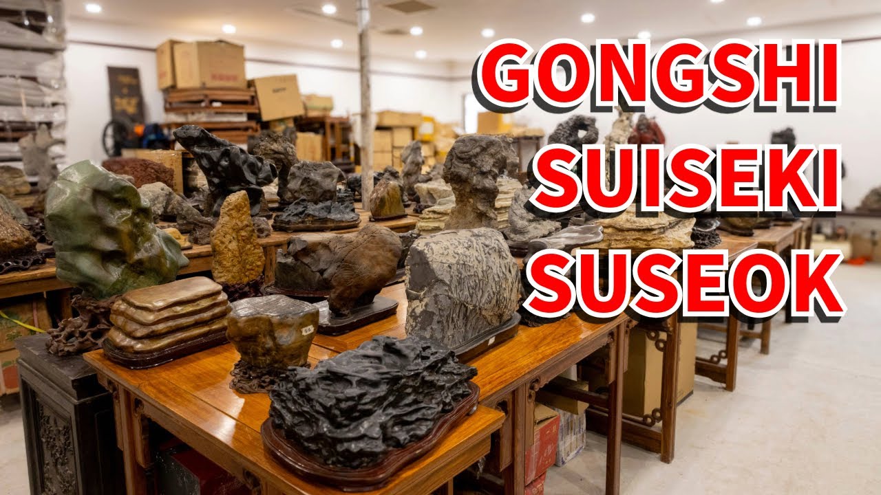 Incredible gongshi, suiseki, & suseok collection of Mr. Huang Jiu Wei.