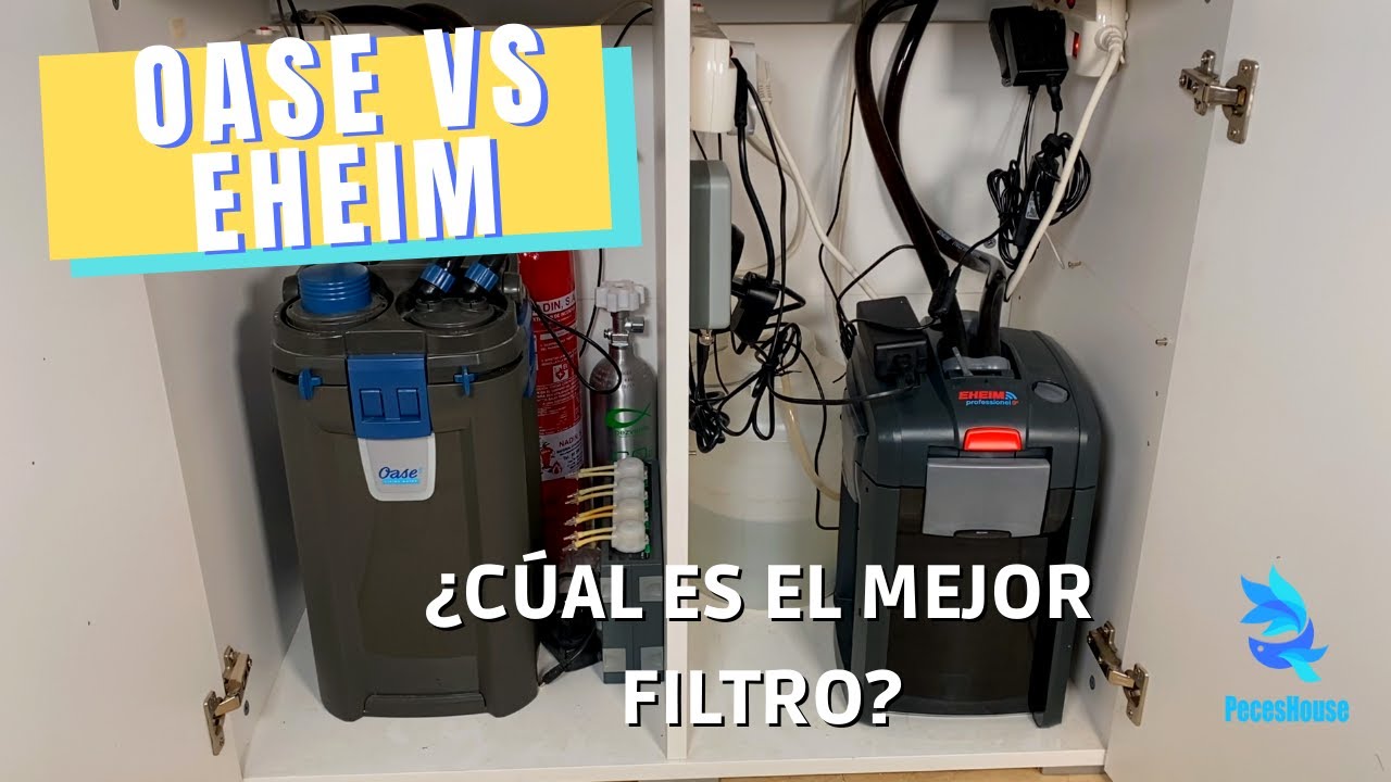 COMPARACIÓN Oase Biomaster Thermo 600 vs Eheim Professionel 5e 350