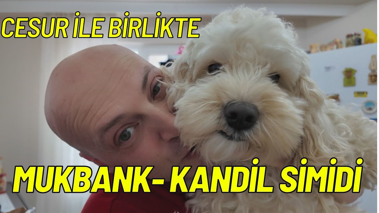 MUKBANG - KANDİL SİMİDİ - CESUR 