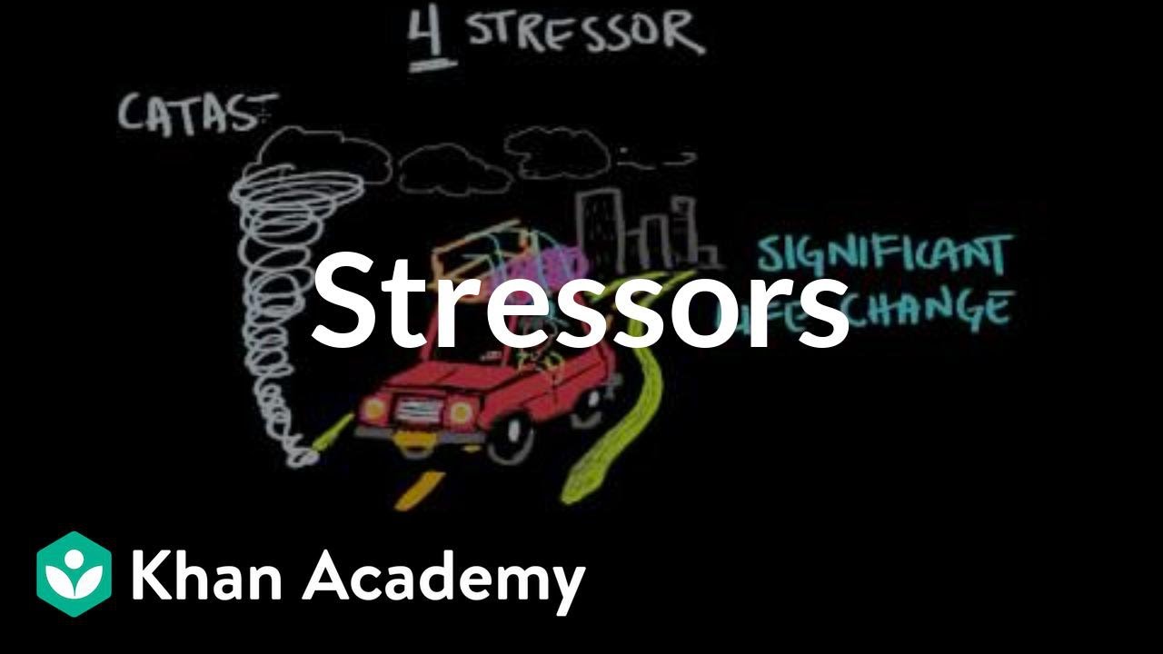 Stressors | Processing the Environment | MCAT | Khan Academy