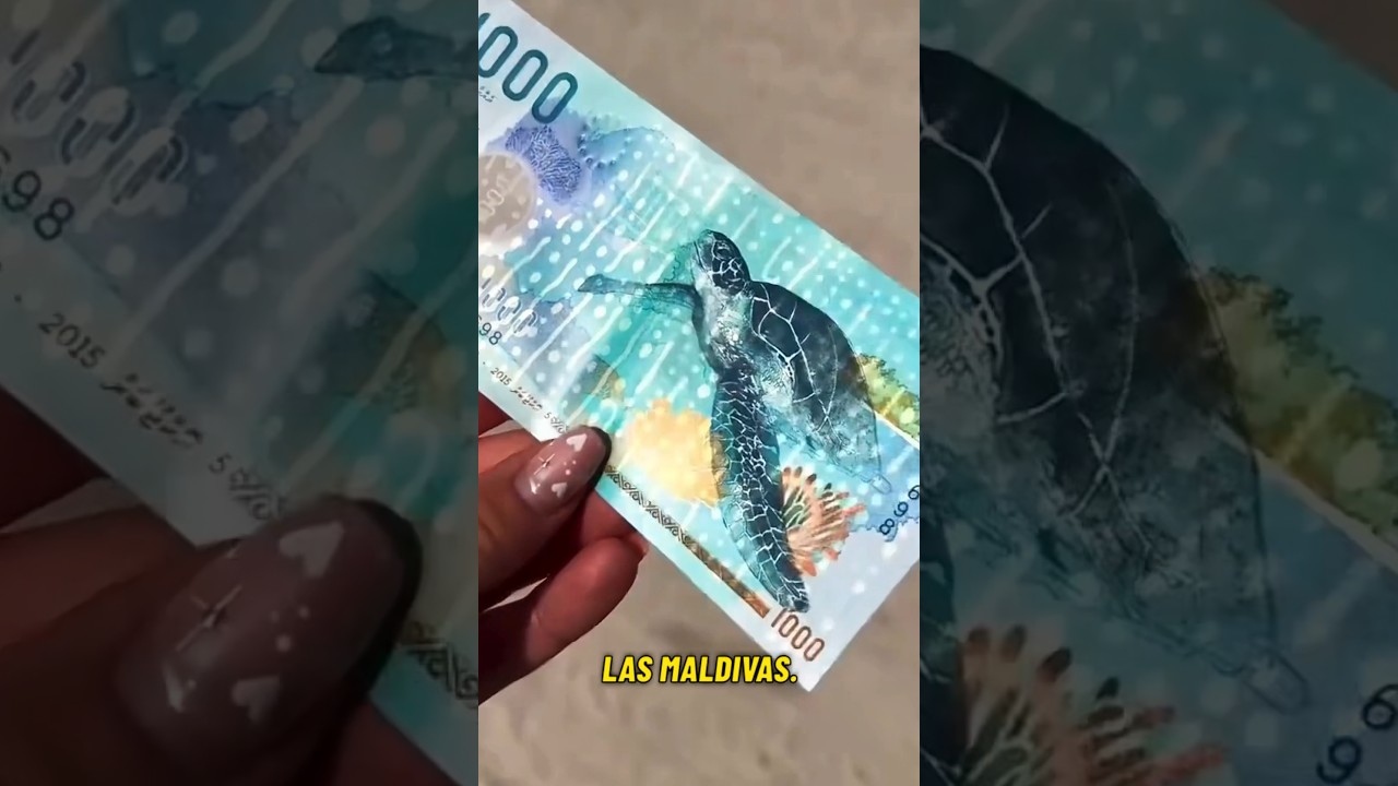 Cual es el billete MAS LINDO de TODO EL MUNDO? 🤔💵
