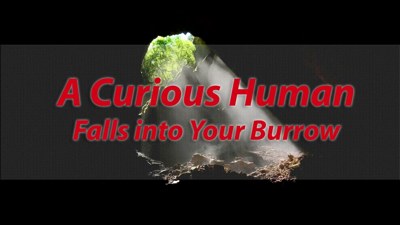 [M4A] A Curious Human Falls Into Your Burrow [Monster Listener] [Reverse Yandere] [Fantasy]