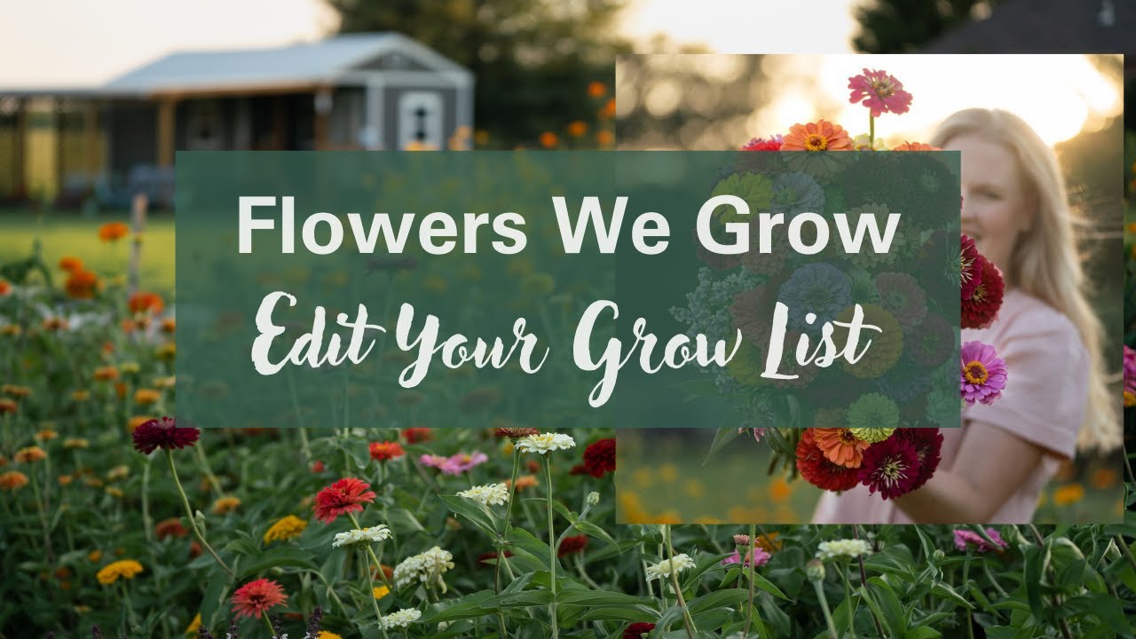 The Most Profitable Flowers to Grow 💐