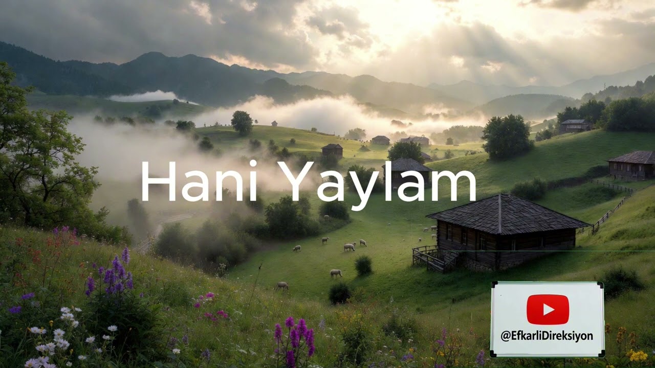 Hani Yaylam #efkarlıdireksiyon 