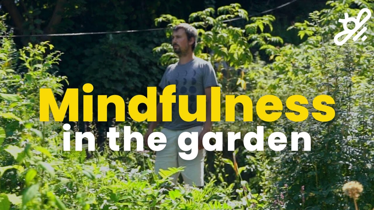 How gardening helps emotional health