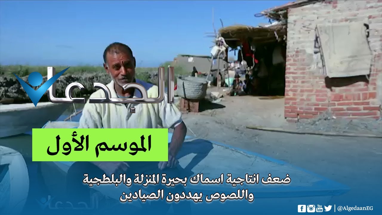 ضعف انتاجية اسماك بحيرة المنزلة والبلطجية واللصوص يهددون الصيادين