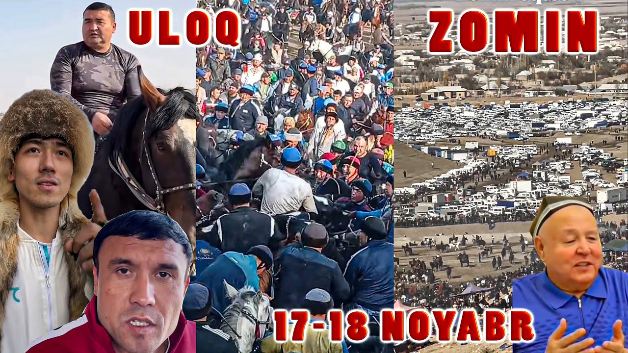 To'ra boy Daxshatli Uloq 2025 Oqtosh Zomin 17-18 noyabr #2025 #2026