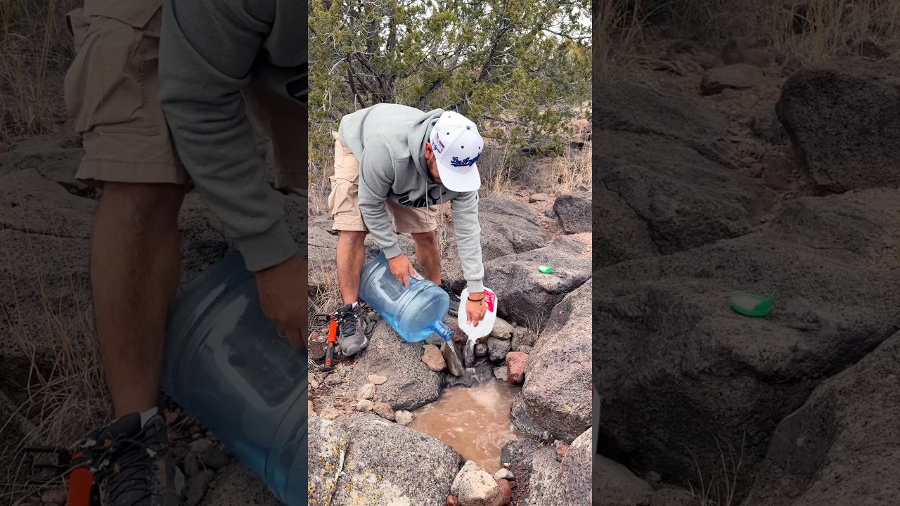 Un poquito de agua puede salvar muchas vidas #faunasilvestre #naturaleza #suscribe #fauna