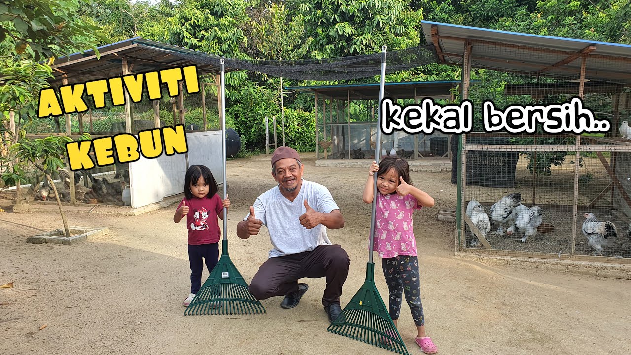 ✅️ KEBUN YANG TENANG. RAHSIA ATOK KEKALKAN KEBERSIHAN