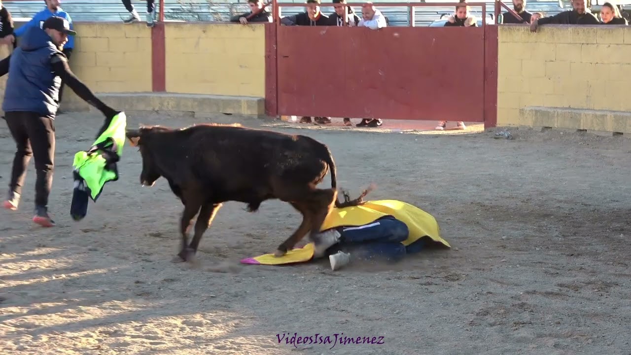 Capea Casta Aragonesa - 06/11/2021 - Parte 2 - HD